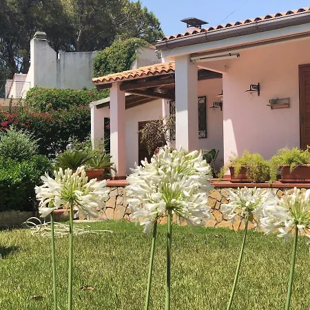 Le Tre Palme *