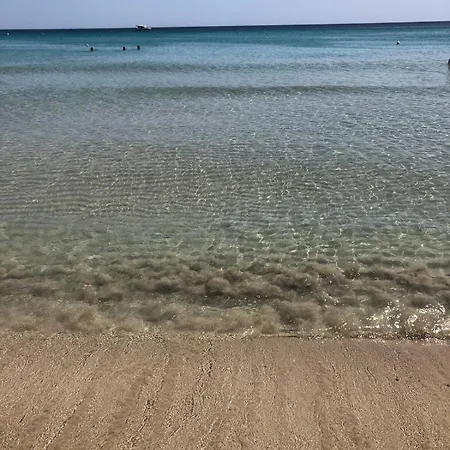 Le Tre Palme *