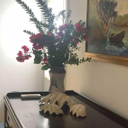 Tatil Evi Le Tre Palme