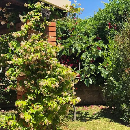 Le Tre Palme Tatil Evi *