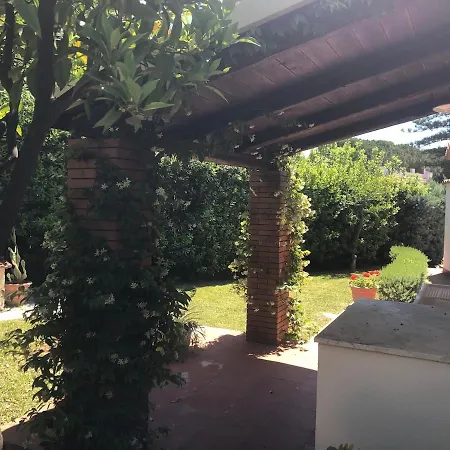 Le Tre Palme Tatil Evi *