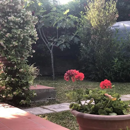 Le Tre Palme Tatil Evi