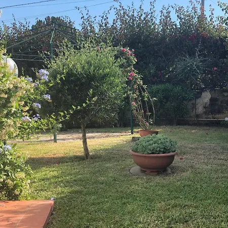 Tatil Evi Le Tre Palme *