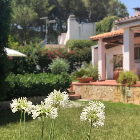 Tatil Evi Le Tre Palme