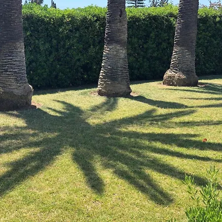 Le Tre Palme