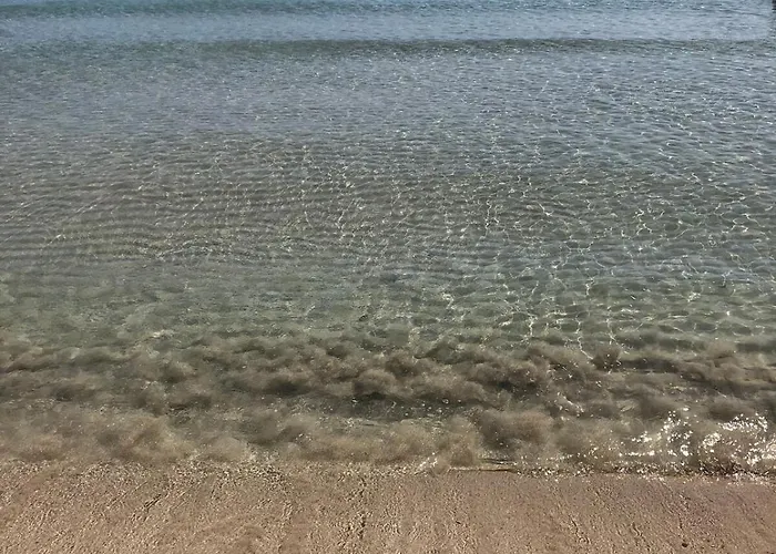 Le Tre Palme *