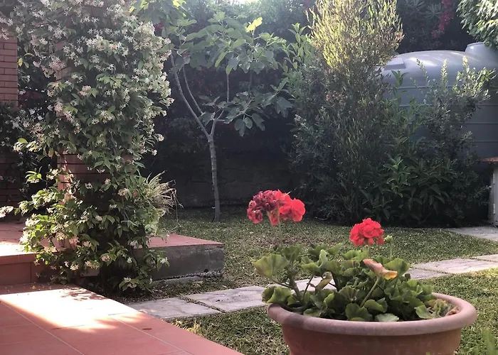 Le Tre Palme Дом отдыха