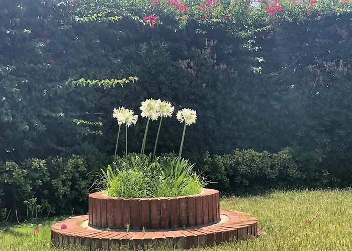 Дом отдыха Le Tre Palme *