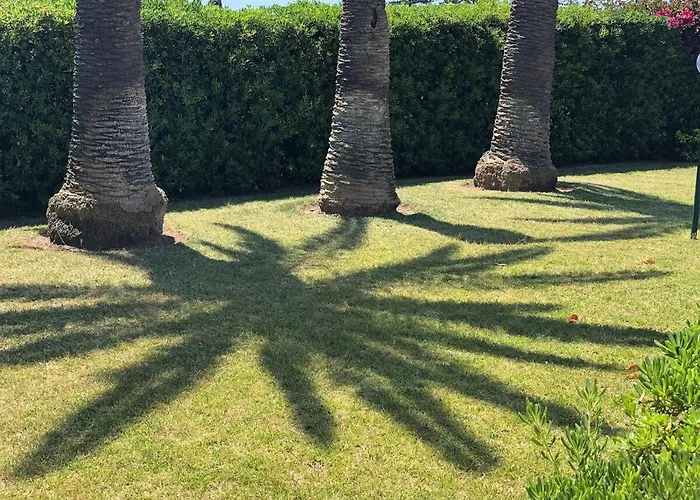 Le Tre Palme